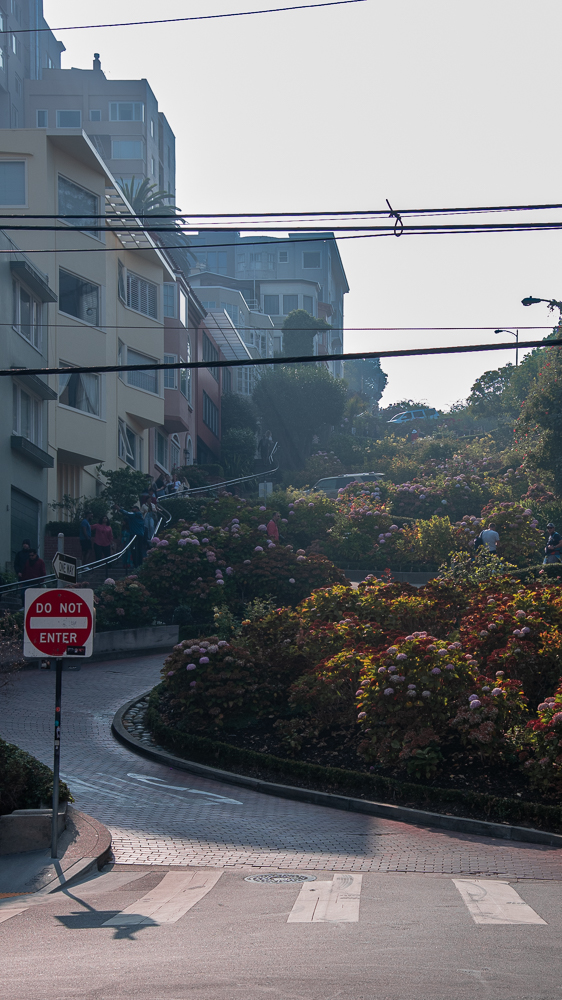 Lombard Street San Francisco