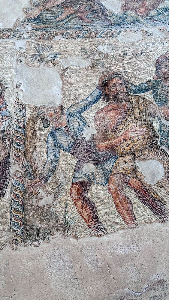 resti mosaico di nea pafos, cipro