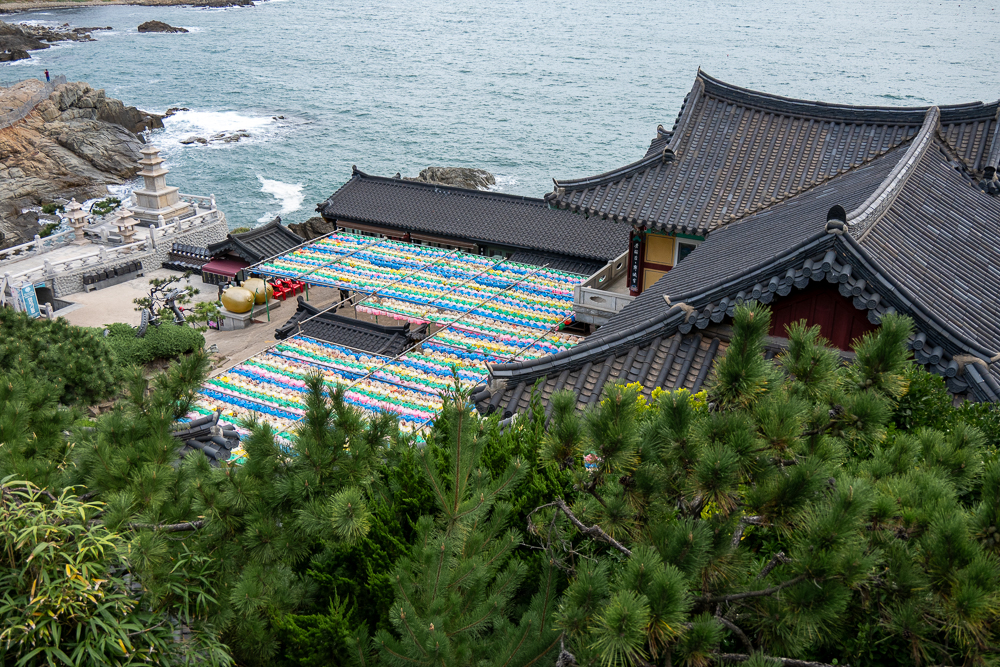 Busan, haedong yonggungsa temple, con vista mare