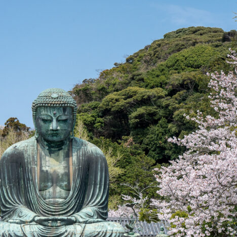 Il grande buddha di kamakura, in una calda giornata di primavera