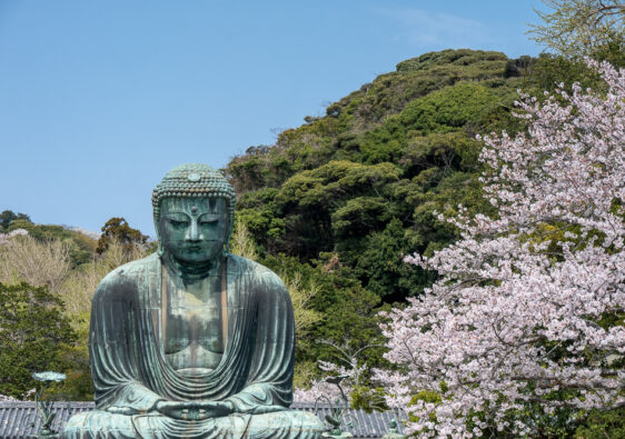 Il grande buddha di kamakura, in una calda giornata di primavera