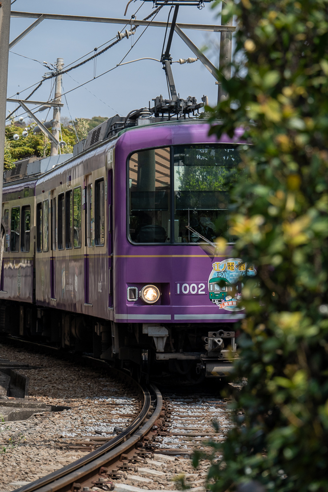 treno viola in quel di Kamakura